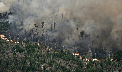 El Gobierno de Lula da Silva enfrenta un gran desafío en la lucha contra la deforestación, especialmente con la próxima COP30. Foto: Evaristo Sa/AFP. Incendios en Brasil devastaron 30,8 millones de hectáreas en 2024