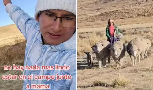 Clip generó emotivas reacciones en redes. Foto: composición LR/ TikTok Peruano sorprende a su mamá en el campo y ella corrió a sus brazos: "Te quiero, hijo"