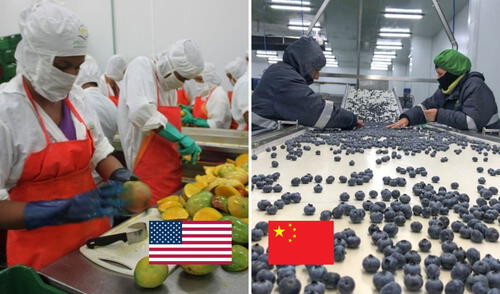 Perú tuvo un crecimiento importante en las exportaciones no tradicionales, según Adex. Foto: Andina/LR