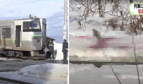 Una turista de Hong Kong atropellada por tren en Japón falleció tras ingresar a una zona restringida para tomar fotografías. El accidente provocó la suspensión de 19 trenes. Foto: composición LR/STV Turista china muere atropellada en Japón mientras tomar fotografías de las las vías del tren