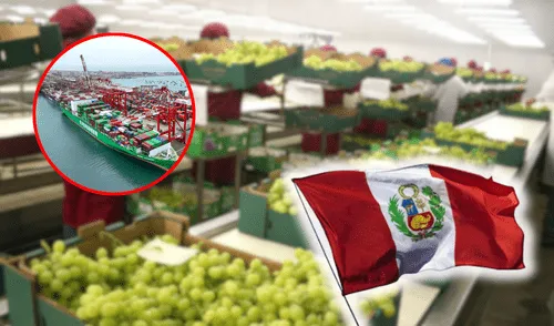 Ica ocupa el 19% de las agroexportaciones peruanas gracias a productos como la uva y la palta.