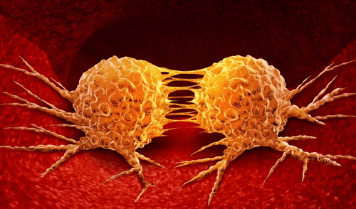 Las células cancerosas afectan las defensas del organismo al transferir mitocondrias dañadas a las células inmunes. Foto: Consultorsalud.