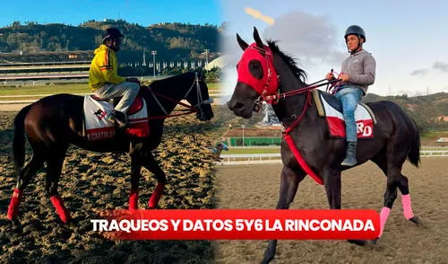 Traqueos y Pronósticos La Rinconada 26 de enero