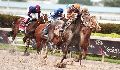La Pegasus World Cup cierra el telón en Gulfstream Park. Foto: AFP