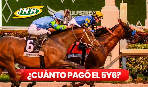 Las carreras de HOY en La Rinconada pertenecen a la segunda reunión del 2025. Foto: composición LR La Rinconada HOY - Venezuela