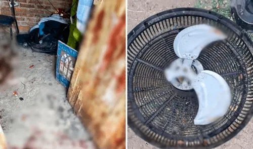 Argentino fallece por explosión de ventilador casero que él mismo fabricó