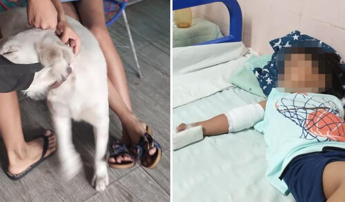 La rápida intervención de vecinos y conductores fue crucial para salvar al menor. Foto: composición LR. dueños de perro solo dan 50 soles tras el ataque