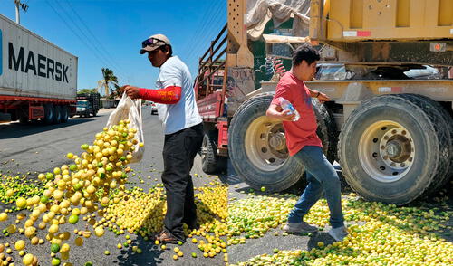 Agricultores de Piura tiran 20 toneladas de limón en protesta por bajos precios