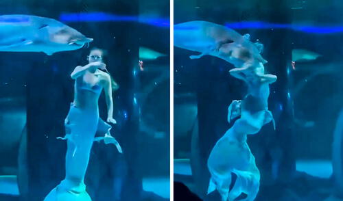 La joven, de 22 años, estaba interpretando el papel de una sirena. Foto: Composición LR/X.