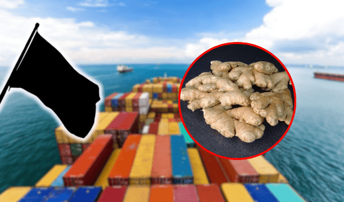 La industria del jengibre se reunirá en mayo por el Ginger Week 2025. Foto: composición LR/Andina La industria del jengibre se reunirá en mayo por el Ginger Week 2025.