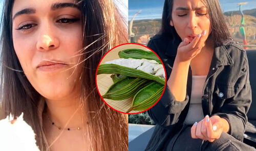 "Mi fruta favorita, deberían exportarla más", resaltaron usuarios en redes. Foto: composición LR/ TikTok Española visita Perú, se enamora del pacay y sus amigas creen que es algodón: "Extremadamente bueno"