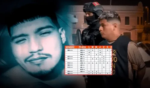 El Monstruo Injertos del cono norte