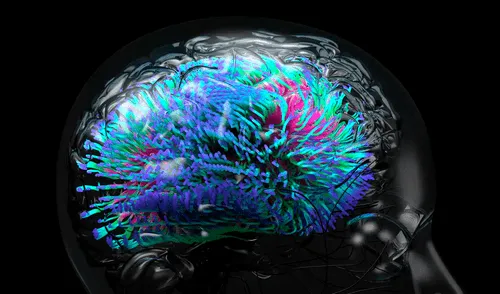 Aún no se tiene claridad sobre la repercursión de la acumulación de microplásticos en la salud humana. Foto: difusión Aún no se tiene claridad sobre la repercursión de la acumulación de los microplásticos en la salud humana