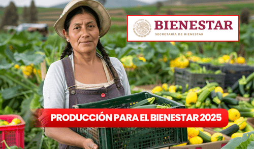 El programa de la Secretaría de Bienestar busca beneficiar a pequeños y medianos productores agrícolas este 2025. Foto: composición LR / Freepik Producción para el Bienestar 2025 registro | Apoyo de 24 mil pesos para agricultores | Cómo solicitar Producción para el Bienestar 2025 | Requisitos Producción para el Bienestar 2025