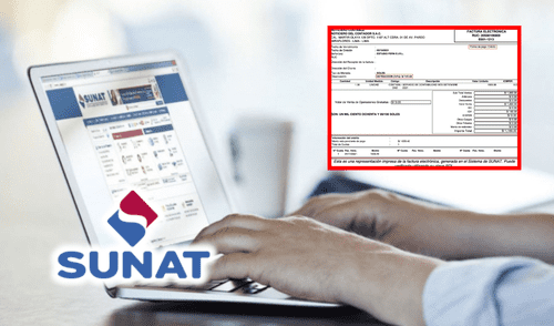persona hace consulta virtual de sunat