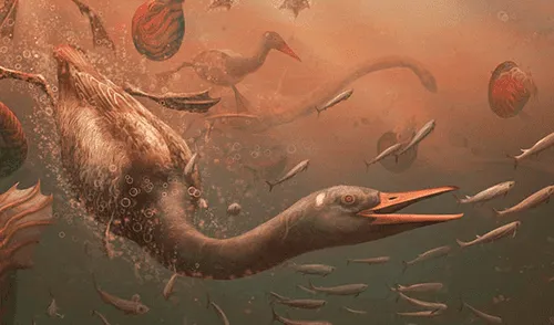 Un cráneo del 'Vegavis iaai' fue encontrado durante una expedición científica a la Península Antártica. Foto: difusión Un cráneo del 'Vegavis iaai' fue encontrado durante una expedición científica a la Península Antártica.