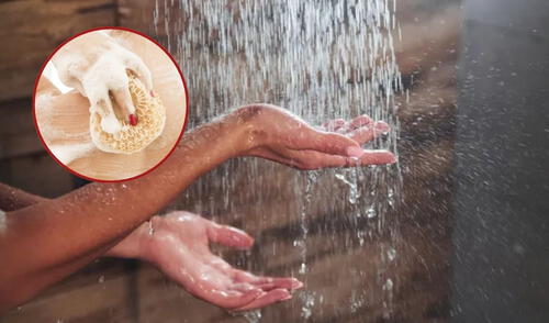 Bañarse | Duacharse | Universidad de Harvard | dermatólogo