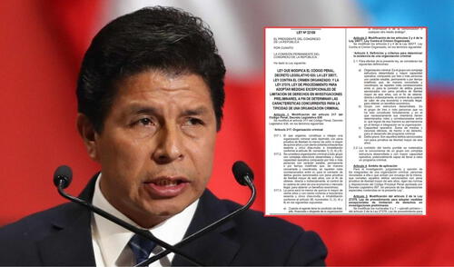 La Ley 32108 sería la herramienta jurídica que usaría Castillo para archivar una denuncia en su contra | Composición: LR. La Ley 32108 sería la herramienta jurídica que usaría Castillo para archivar una denuncia en su contra