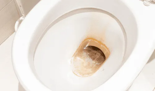 El inodoro es uno de los elementos más utilizados en el hogar. Foto: Difusión