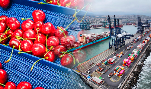 El 'Cherry Express' es la ruta comercial que facilita la exportación de cerezas a China.