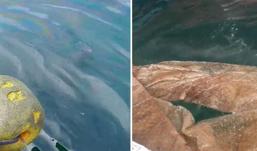 OEFA se encuentra supervisando el mar en Piura. Foto: Almendra Ruesta/La República OEFA se encuentra supervisando el mar en Piura.