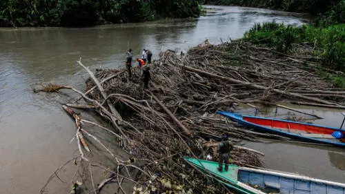 Cuerpos fueron hallados en islotes y palizadas del río Inambari.