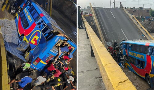 opinión de especialista