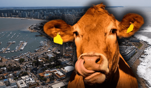 El país se posiciona como líder mundial en ganadería debido a su vasta extensión de pastizales y una tradición arraigada en la producción de carne de alta calidad, destacándose en mercados clave. Foto: composición LR El país se posiciona como líder mundial en ganadería debido a su vasta extensión de pastizales y una tradición arraigada en la producción de carne de alta calidad, destacándose en mercados clave.