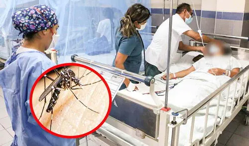 Las personas, infectadas con el dengue, deben de acudir a los especialistas en medicina para recibir un tratamiento adecuado. Foto: composición LR/Andina Dengue