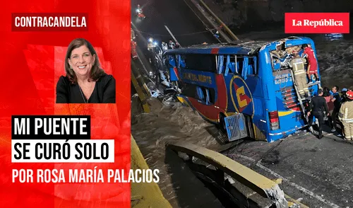 Mi puente se curó solo