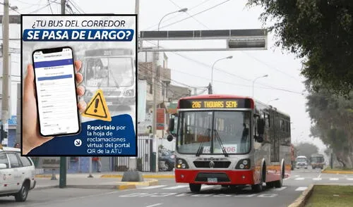 Usuarios de corredores ya pueden reportar a buses que se pasan de frente.