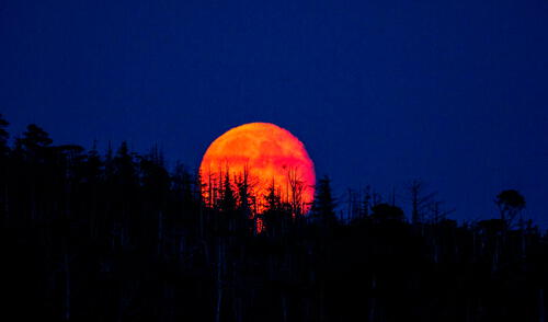 Con cielos despejados y lejos de la contaminación lumínica, ciertas regiones peruanas serán perfectas para disfrutar del asombroso cambio de color de la Luna.