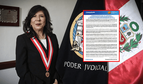 CAL se pronuncia por proceso de JNJ contra Janet Tello.