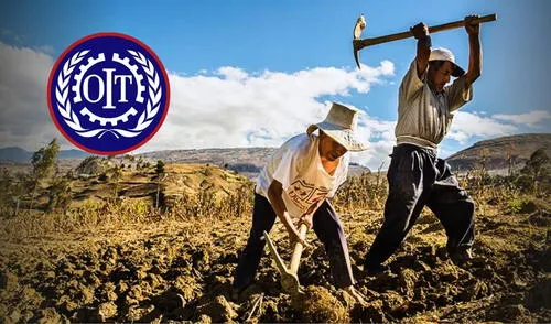 OIT | agricultura | Perú | inei | mtpe | midagri