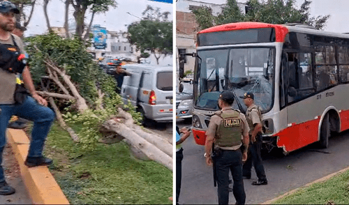 Vecinos reclaman por el mal estado de la vía. Foto: composición LR Accidente en la avenida Venezuela: bus del Corredor Rojo se despista y choca contra un árbol