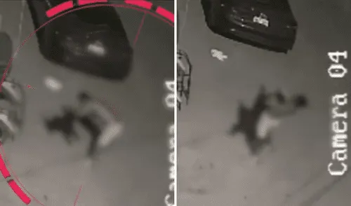 Cámaras captan a un hombre maltratando a un perro