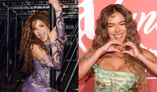 Shakira y Karol G intercambiaron mensajes en redes sociales.
