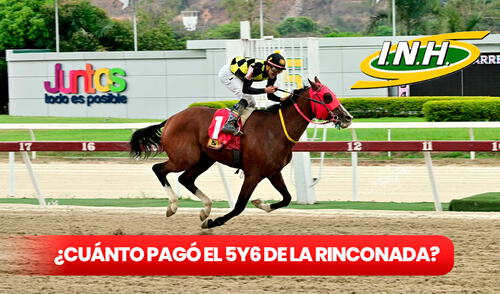 Las carreras de este domingo 2 de marzo se llevarán a cabo las 10 carreras de la séptima reunión del año. Foto: composición LR La Rinconada - Venezuela