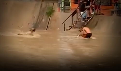 Vecinos de la zona captaron el valiente rescate de un perrito que había sido arrastrado por un canal. Foto: Composición LR