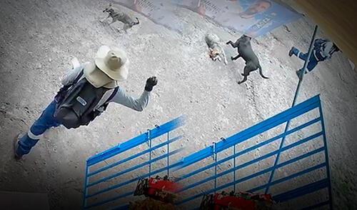 La empresa Seal emitió un comunicado tras lo sucedido y aseguró que realizarán las diligencias respectivas. Foto: Composición LR