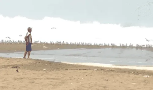 joven desaparece en playa Santa Rosa
