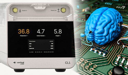 El núcleo de la CL1 está compuesto por neuronas humanas obtenidas a partir de células madre. Foto: Composición LR/Cortical Labs. Esta es la primera computadora biológica comercial del mundo