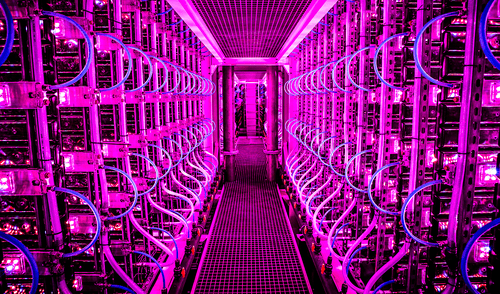 Estas instalaciones de alta tecnología, situadas en Islandia, producen microalgas como la Nannochloropsis. Foto: Fast Company. Este país cuenta con una 'granja futurista' en la que está cultivando diminutos y antiguos organismos acuáticos