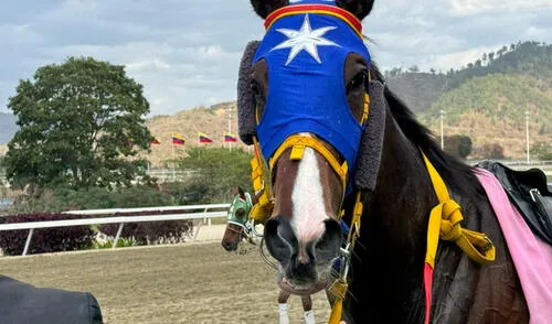 El 5y6 paga montos mayores a los 30 millones de bolívares. Foto: composición LR/INH El 5y6 paga montos mayores a los 30 millones de bolívares. Foto: composición LR/INH