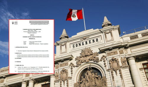 Comisión de Ética, Congreso