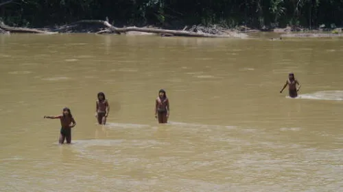 Pueblos indígenas en aislamiento en riesgo ante avance de actividades ilícitas. Foto: Mincul. Pueblos indígenas en aislamiento en riesgo ante avance de actividades ilícitas. Foto: Mincul.