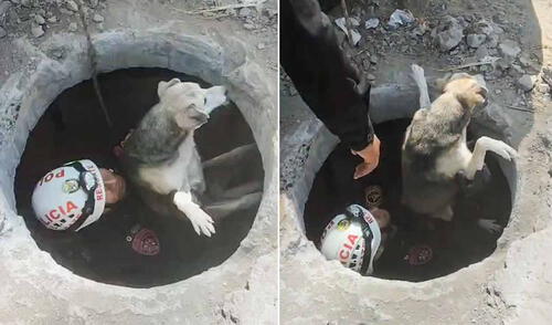 Policías salvan a un perro tras caer a un pozo en La Libertad