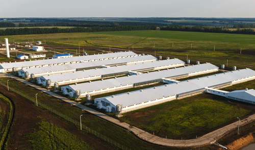 La contaminación por amoníaco de granjas industriales en Estados Unidos ha alcanzado niveles alarmantes. Foto: Grupo Empresarial Agroeco/referencial. Estados Unidos enfrenta crisis ambiental: contaminación de granjas se ve desde el espacio y pone en riesgo la salud