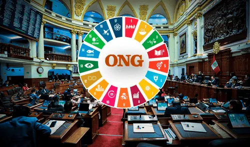 Las propuesta del Congreso buscan que se controlen desde los recursos hasta la cantidad de trabajadores y sus funciones de las ONG. Foto: composición LR Congreso, ONG.