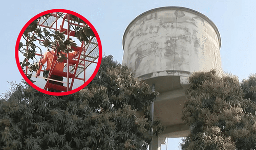 Los restos fueron encontrados por personal de una constructora que trabajaba en la zona.